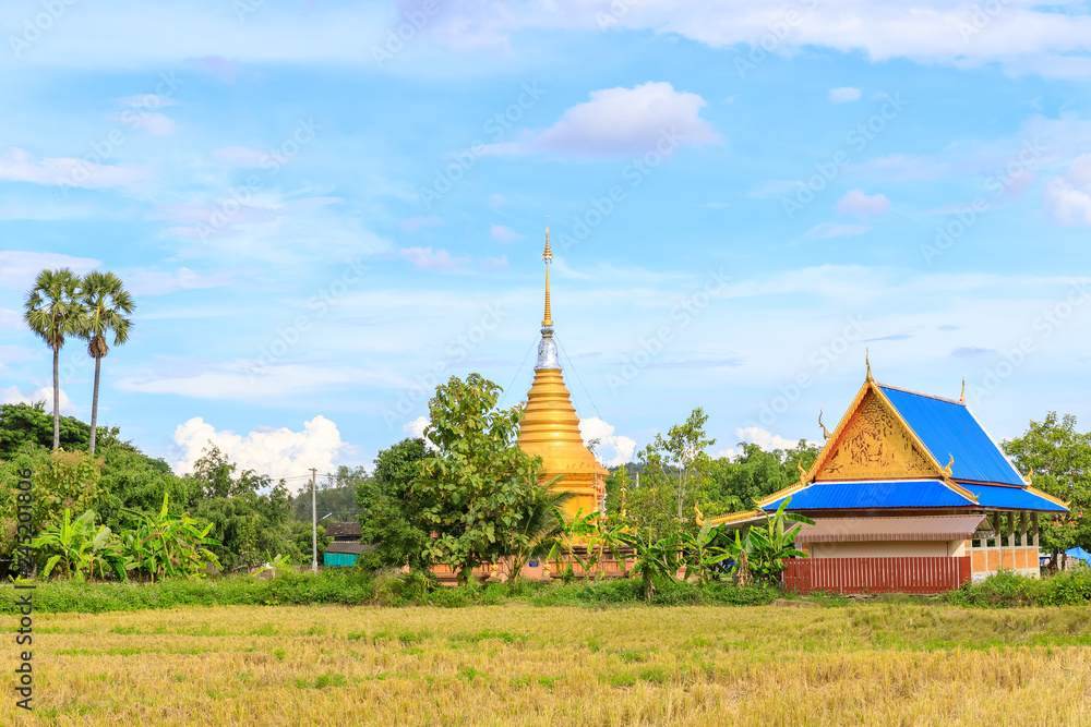 Naklejka premium Small buddhist temple in rice field village countryside rural Chiang Mai, north of Thailand