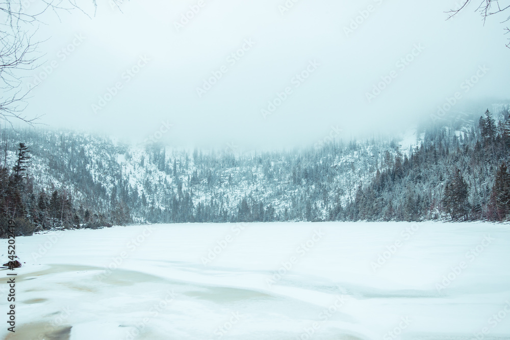 frozen lake covered with snow, forest in the background and a dense white cloud above