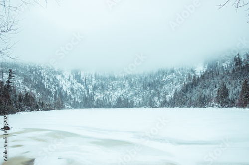 frozen lake covered with snow, forest in the background and a dense white cloud above © tajborg