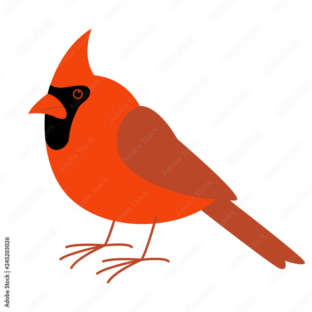 cardinal bird,vector illustration, flat style, profile cardinal bird,vector illustration, flat style, profile