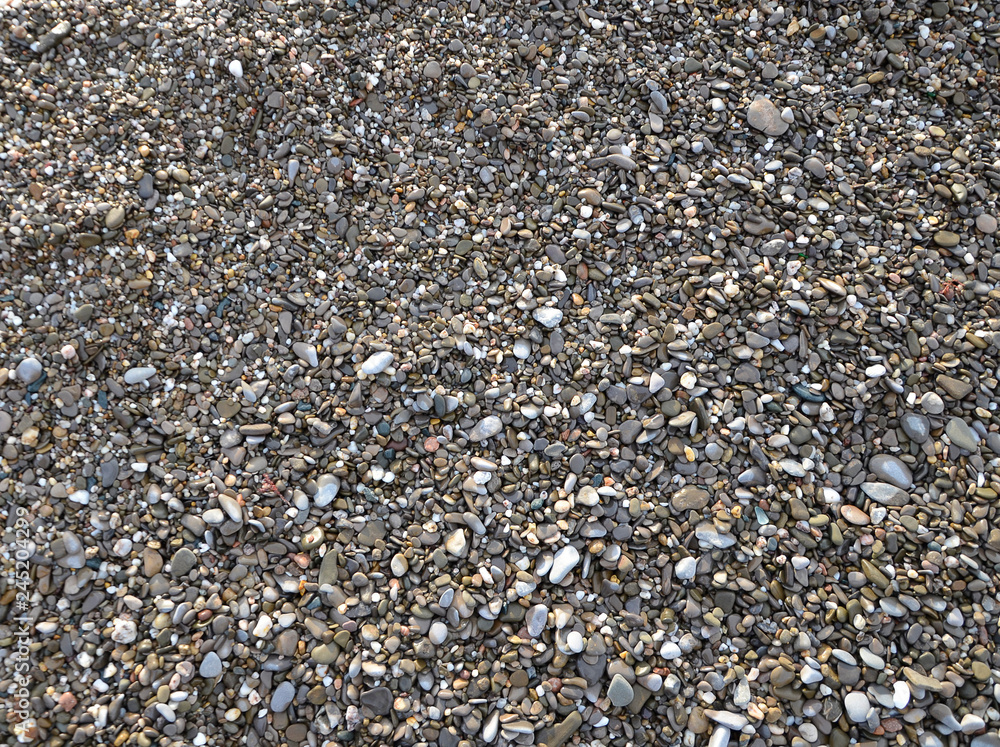 seashells and pebbles seashells and pebbles