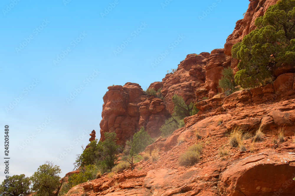 Fototapeta premium Sedona Red Rocks