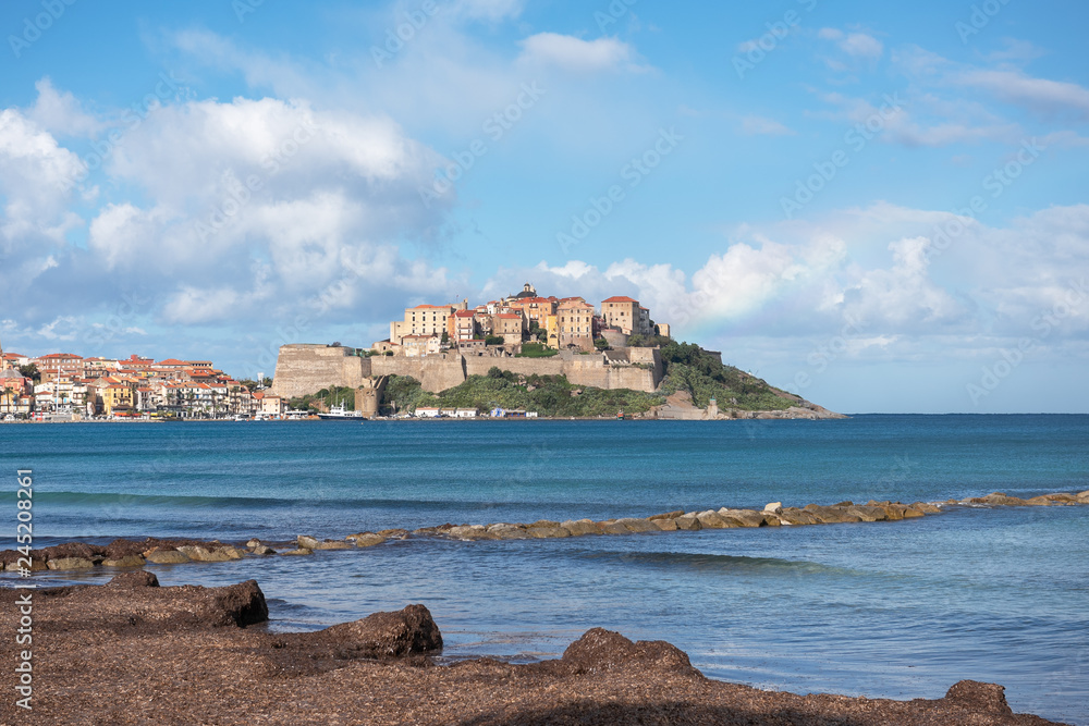 View of the historic fortress of the Corsican town Calvi from the beach, covered with sea grass, France