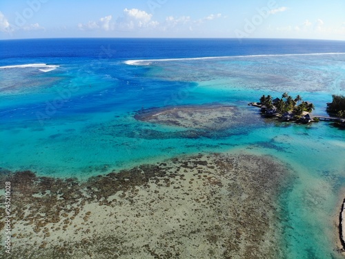 Fototapeta Naklejka Na Ścianę i Meble -  Aerial view of shades of blue and coral reefs over the Moorea lagoon in French Polynesia, South Pacific