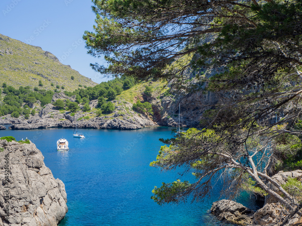 Obraz premium Port de Sa Calobra, Mallorca, Spain. The bay with turquoise sea on the path that leads to the beach and the canyon