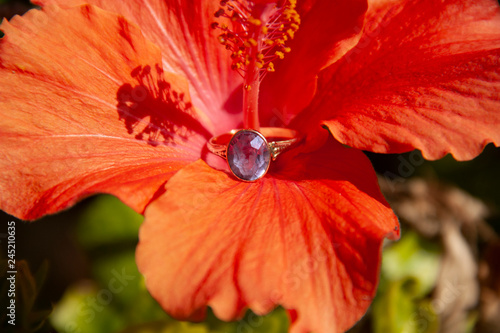 A ring with a large alexandrite stone is put on the pestle of a scarlet flower photo