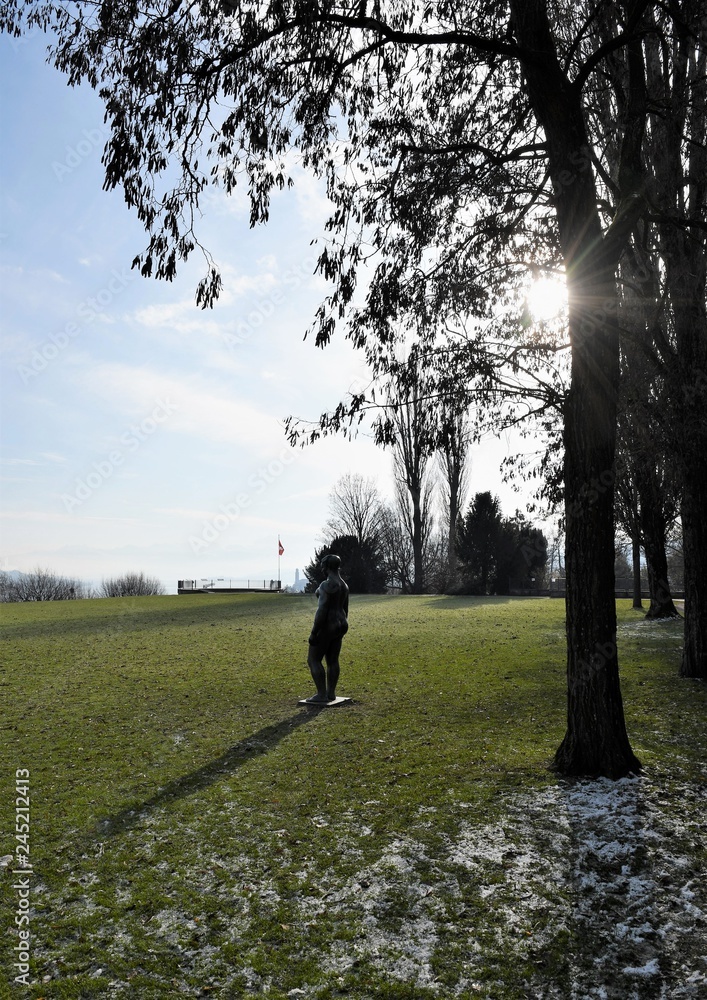 Fototapeta premium parc zurichois