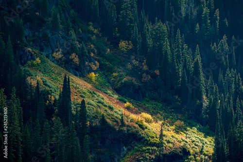 Mission Mountains Wilderness area