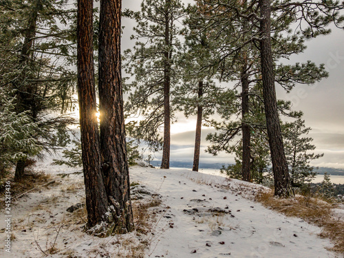 Snowy overlook photo