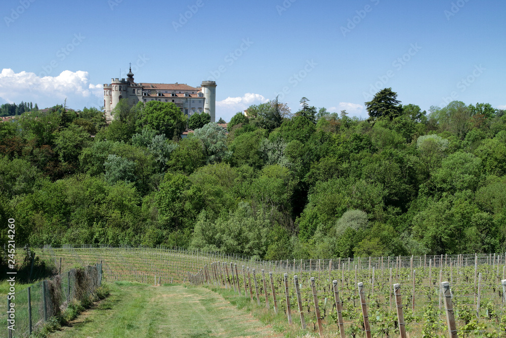 Castello di Costigliole d'Asti e vigne in italia in europa