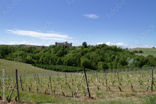 Castello di Costigliole d'Asti e vigne in italia in europa