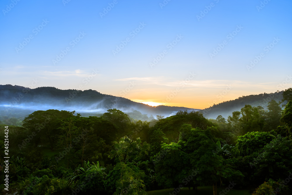 Tropical forest mountain with fog and mist in morning before sun rise at Hang Dong district in Chiang Mai, Thailand