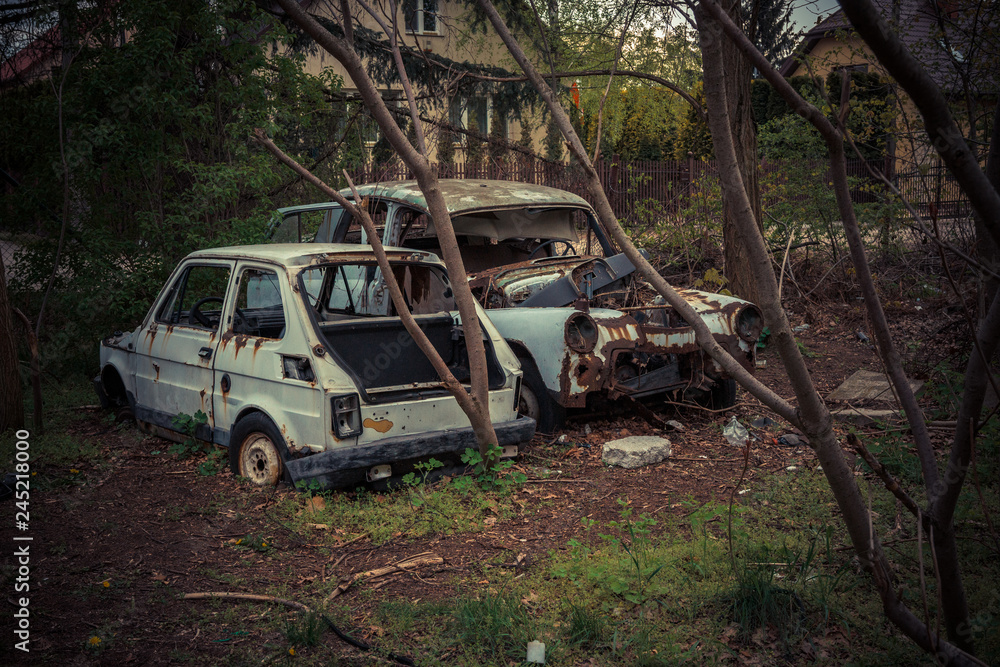 Destroyed and abanoded car in an abandoned place