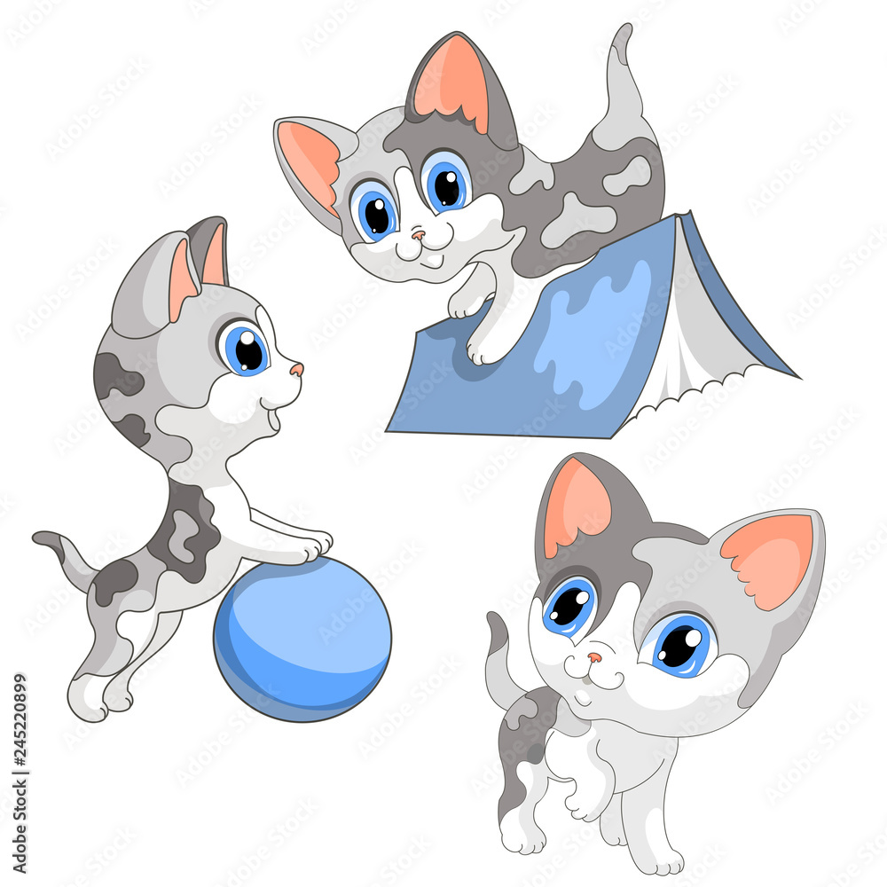 Obraz premium kittens play