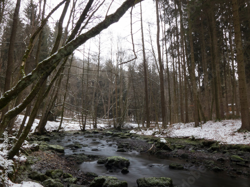 smooth motion of wild water in a river in winter with snow and ice on rocks and stones in the beautiful nature of a forest