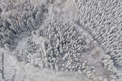 aerial view of the winter landscape