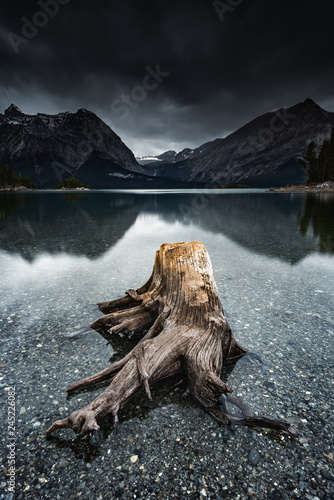 Tree stumps along the shore of Upper Kananaskis lake photo