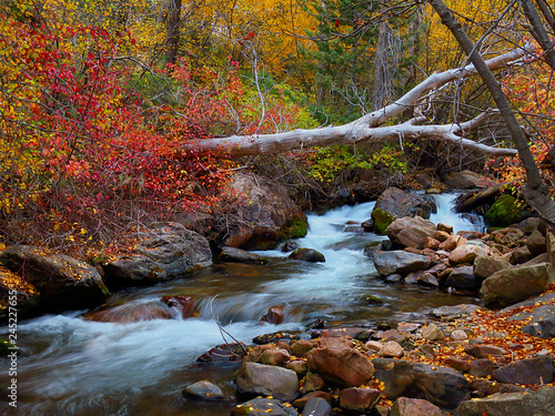 Autumn Colors along the River