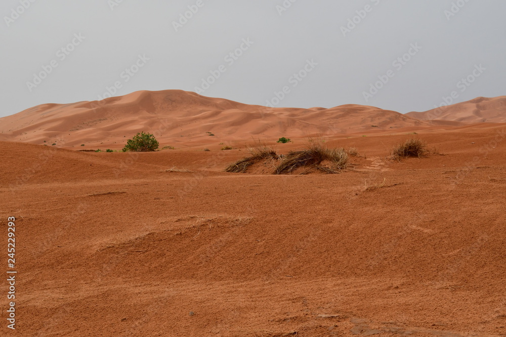 Fototapeta premium DESIERTO DEL SAHARA - MERZOUGA - MARRUECOS