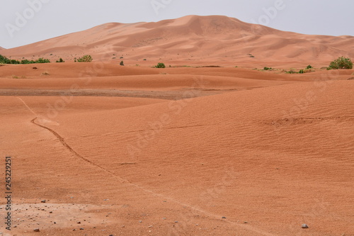 DESIERTO DEL SAHARA - MERZOUGA - MARRUECOS