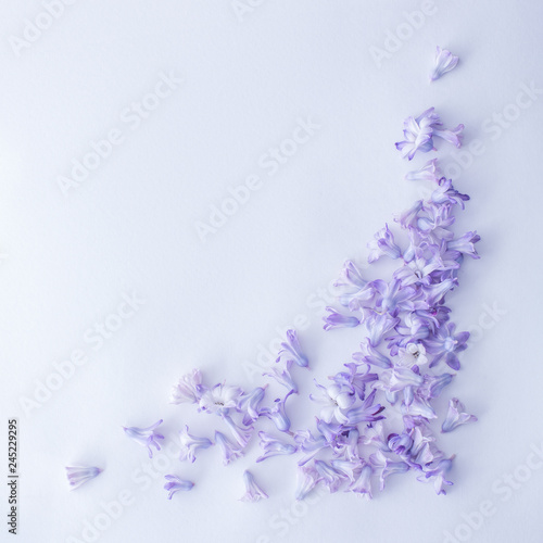  the angle of the frame of purple flowers on a white background