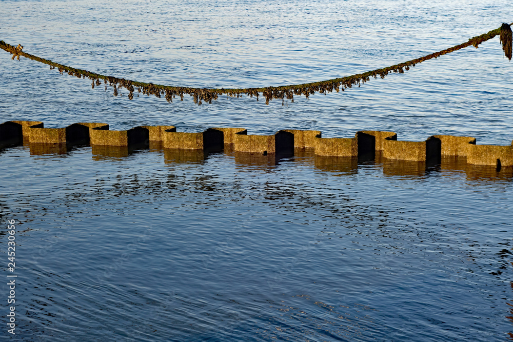 Fototapeta premium Blick aufs Wasser bei Cuxhaven