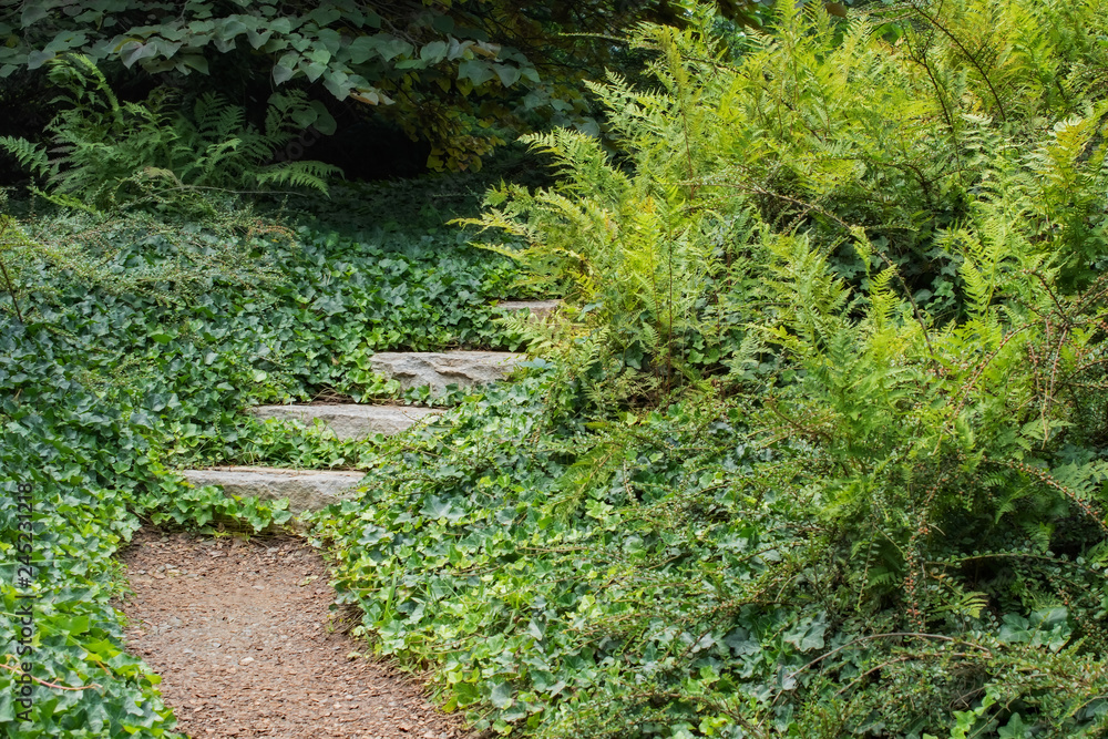 Obraz premium Garden Path to Nowhere