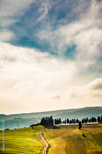 landscape with wheat field and blue sky