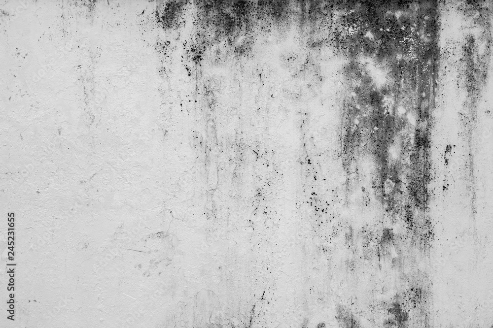 Close-up of a weathered, dirty and moldy plastered concrete wall background in black and white.