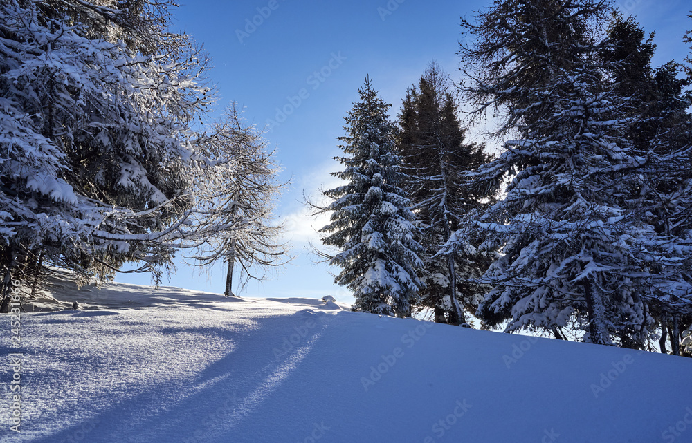 Obraz premium Brunnach Ski Ressort, St. Oswald, Carinthia, Austria - January 20, 2019: Captured sun rays shining throw the trees beside a slope in St. Oswald, Carinthia, Austria beyond.