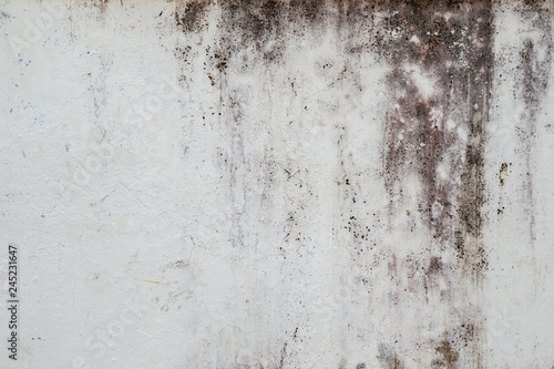 Close-up of a weathered, dirty and moldy plastered light gray concrete wall background. © tuomaslehtinen