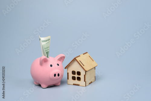  Piggy bank with money on gray background