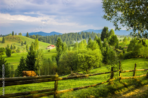 Ukrainian Carpathians, mountain landscape