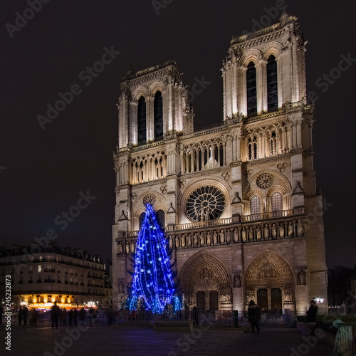 Notre Dame Cathedral Christmas
