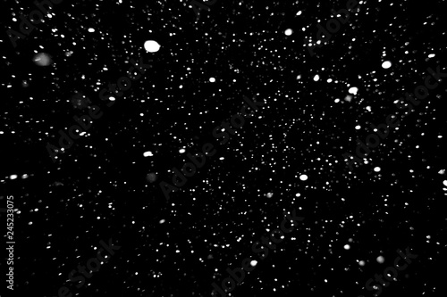 falling snow on a black background  snowfall at night  white spots on a black background