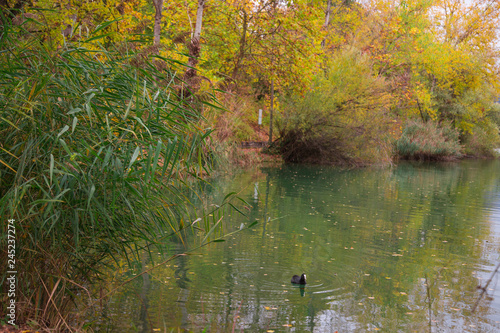 Plan d'eau photo