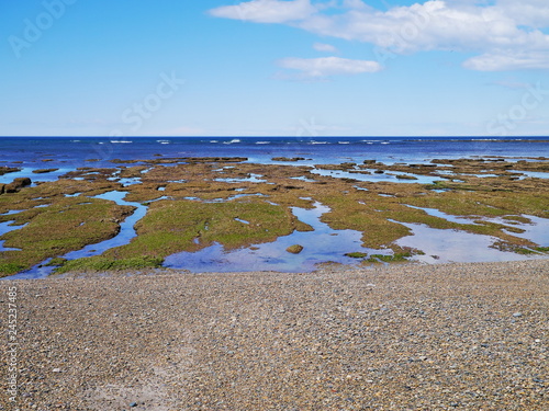 Obraz na płótnie Atlantic Coastline near Punta Ninfas, Patagonia Argentina w salonie