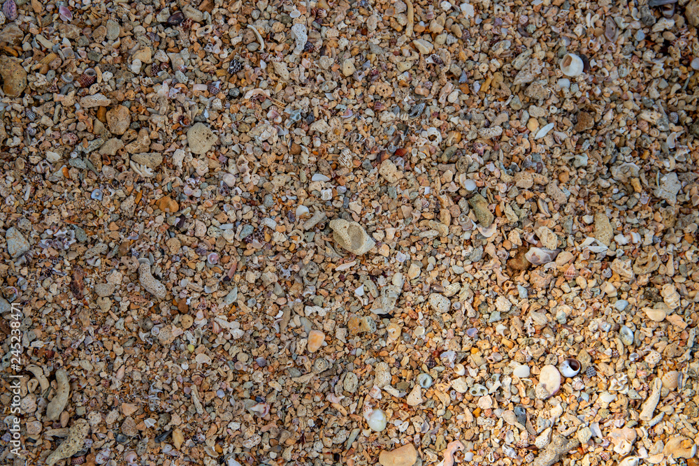 Seaside shells and pebbles texture photo. Coral and shells in sand seaside under tropical sun. Seaside shells and pebbles texture photo. Coral and shells in sand seaside under tropical sun.