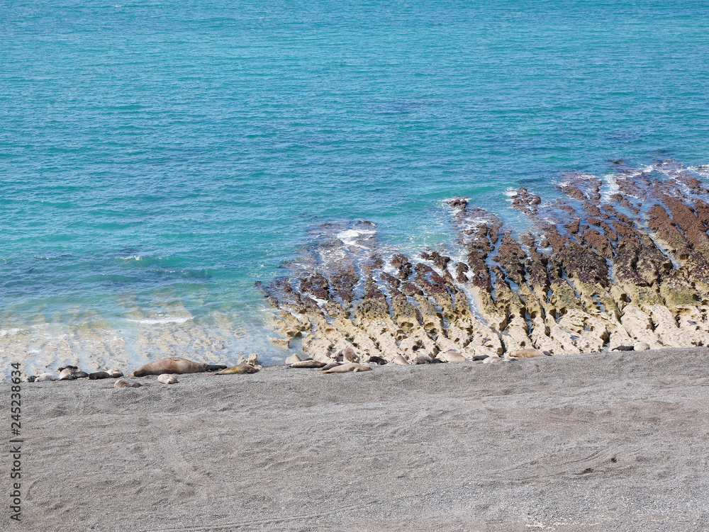 The atlantic ocean coastline along Peninsula Valdes