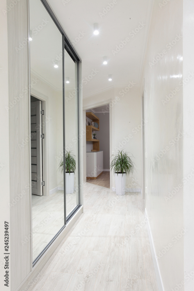 Fototapeta premium Interior of bright coridore home. Mirror on left side