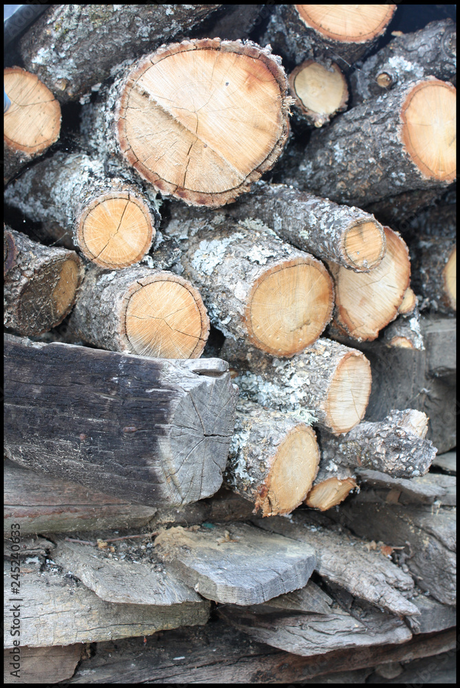 A PILE OF TRUNKS, WOODEN WOOD FOR THE WINTER A PILE OF TRUNKS, WOODEN WOOD FOR THE WINTER