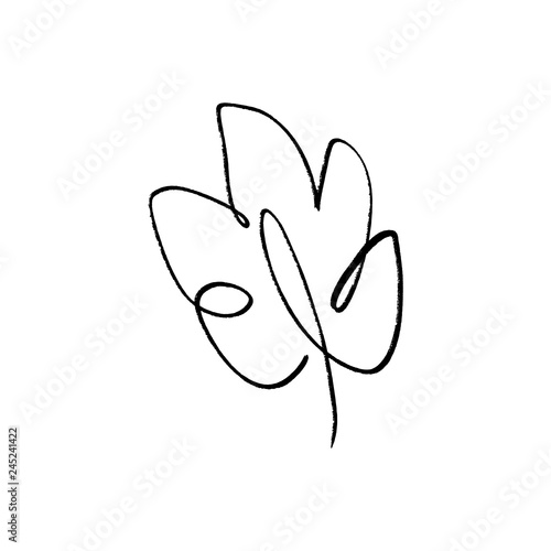 Stylized monstera leaf one line art. Contour simple drawing