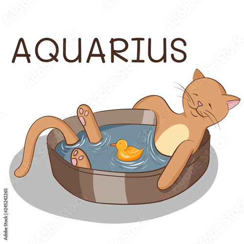 Cartoon cat taking bath; cat with rubber duck; cat stylized as aquarius zodiac; vector illustration EPS10
