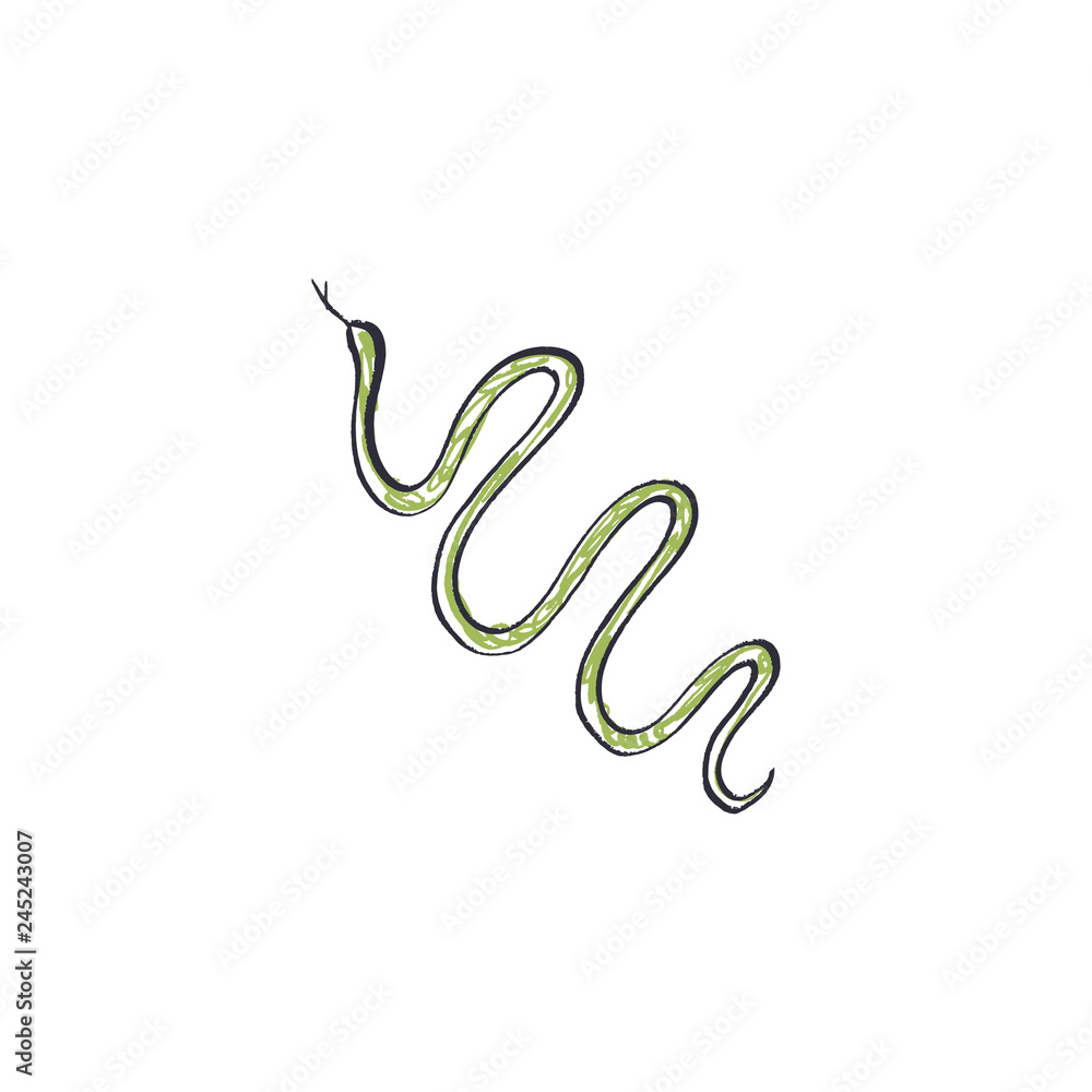 Snake funny doodle pencil stylish isolated sketch Snake funny doodle pencil stylish isolated sketch