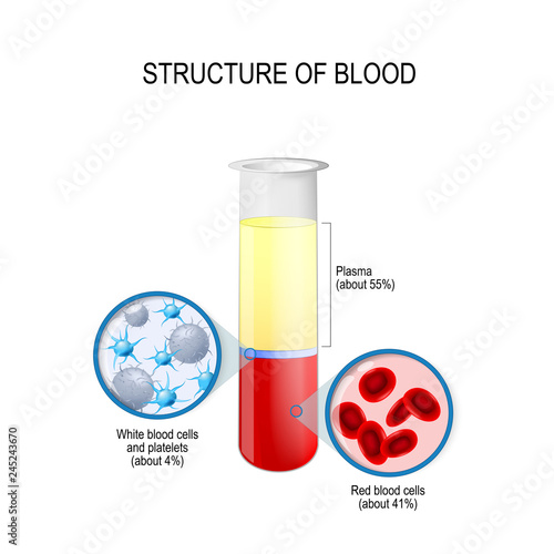 flask with blood components: red and white blood cells, plasma, and platelets.