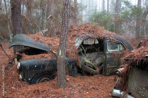 Rusty old car with door missing and hood open in woods with pine needles