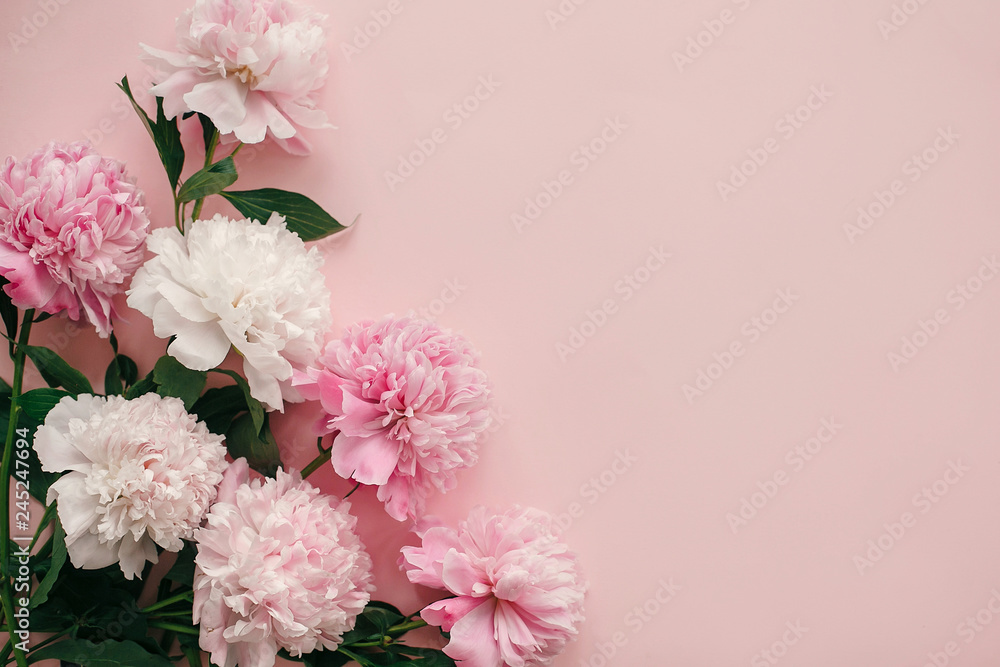 International Womens Day. Stylish peonies flat lay. Pink and white peonies border on pastel pink paper with space for text. Happy mothers day, floral greeting card mockup. Valentines day. International Womens Day. Stylish peonies flat lay. Pink and white peonies border on pastel pink paper with space for text. Happy mothers day, floral greeting card mockup. Valentines day.