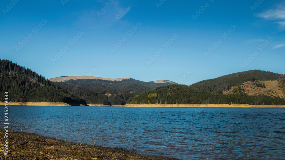 Fototapeta premium Lake and forest idyllic