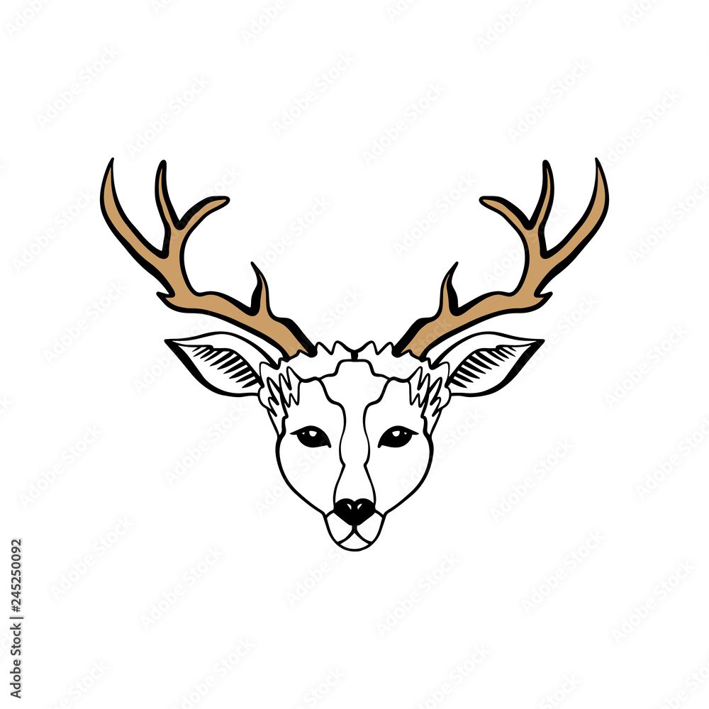 Naklejka premium Wild beautiful deer, hand drawn boho stylish portrait. Tattoo line work