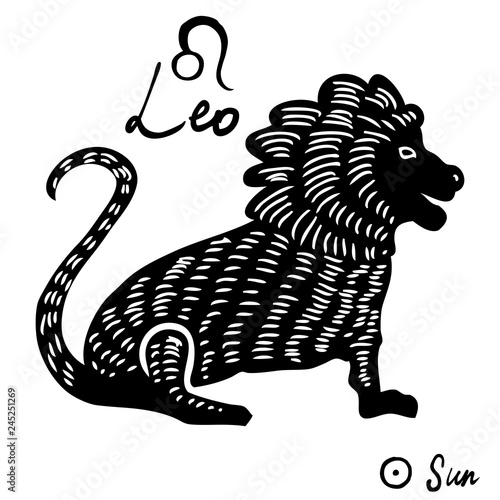 Hand drawn zodiac constellations symbol and sign Leo, Sun illustration picture planet and symbol written name. Usable for mystic occult palmistry and witchcraft alchemy. Vector